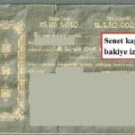 senet inceleme