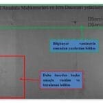 senet bilgisayar yazısı inceleme